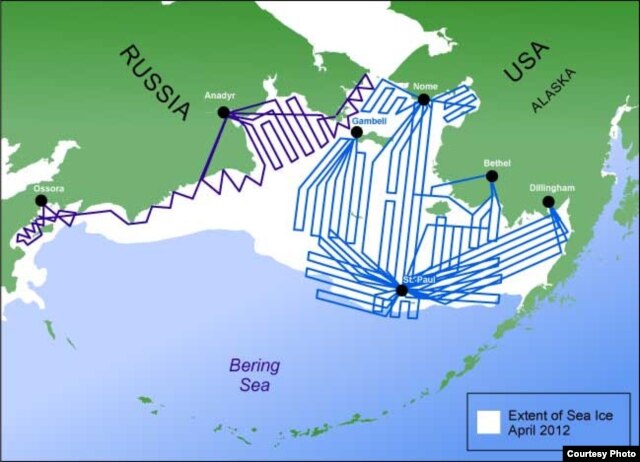 The planned flight routes to cover the Bering Sea in the project, totaling some 20,000 nautical miles over U.S. and Russian waters.
