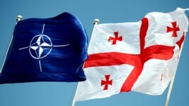 ნატოს და საქართველოს დროშები