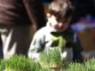 Plants symbolize rebirth and a fresh start to the new year