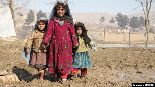 (عکس جنبهء تزیینی دارد)