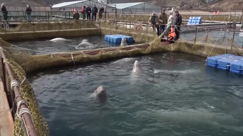  ������� ����� ������� ������ ������ �������� ������� ������ 