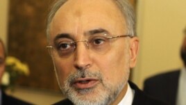 Iranian Foreign Minister Ali Akbar Salehi