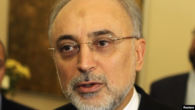 Iranian Foreign Minister Ali Akbar Salehi