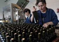 Russia has banned Georgian wine (epa)