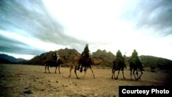 Bedouin in Iraq