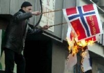 A protestor burns the Danish flag in Sarajevo on 8 February (epa)