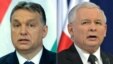 Премьер-министр Венгрии Виктор Орбан (слева) и лидер правящей в Польше партии &quot;Право и справедливость&quot; Ярослав Качиньский