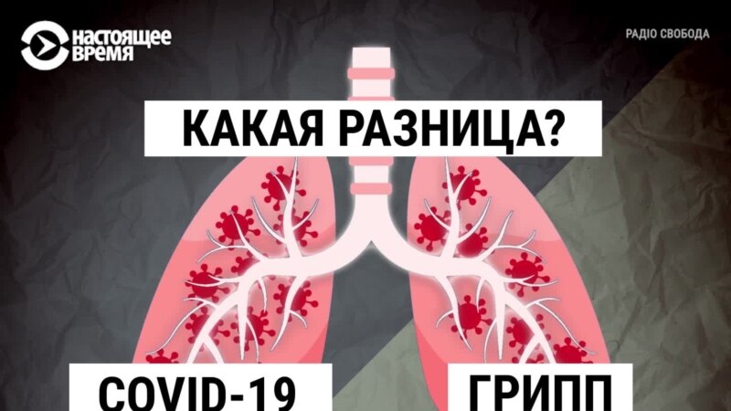 ������ ����������� ������� ������� ������