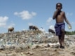 A boy grazes cattle at a dump in Dar es Salaam in August (epa)