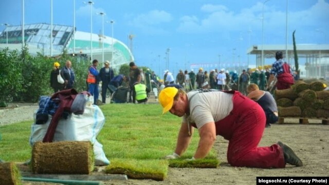 Подготовка к приезду Жана-Клода Килли. Укладка газона на щебенку.