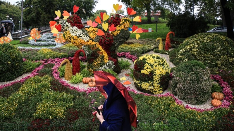  �������� ��������� ����� 