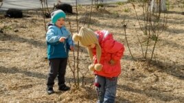 6F4F5900-F6D5-4DAE-A9B9-9CCA2705CCA8_w26