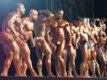 UAE -- International bodybuilding contest in Dubai, Jan2008