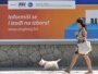 Predizborni plakati u Sarajevu, avgust 2010