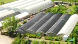 Ekoplant