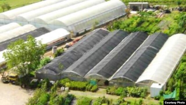 Ekoplant