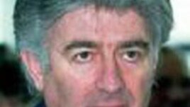Radovan Karadzic