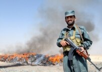 An Afghan police narcotics burn near Kabul in October 2006 (epa)
