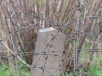 A predominantly Serb cemetery in southern Mitrovica is protected by barbed wire (RFE/RL)
