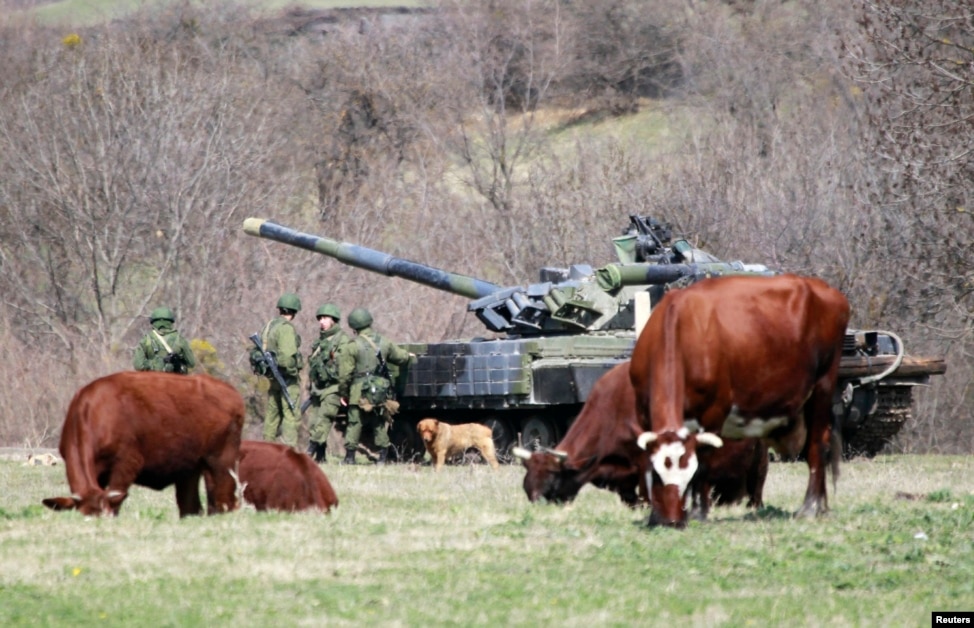 Eastern Ukraine: Animals In The Crossfire