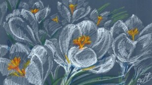Рисунок Ирины Завариной