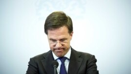 Hollansiyanın baş naziri Mark Rutte Britaniyanı tələsdirməməyə çağırıb