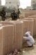 یک کودک فلسطینی در این سوی دیواری بازی می کند که در سوی دیگر آن سربازان اسراییلی مشغول گشت زنی هستند.