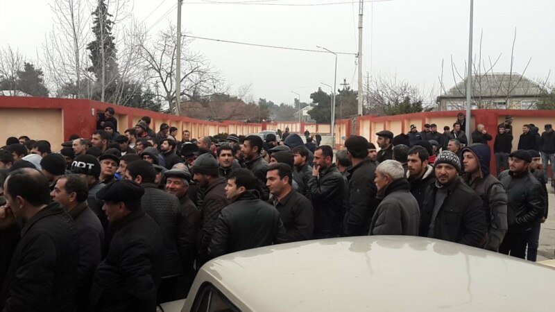  ������ ���� ���������� ���� ����� 