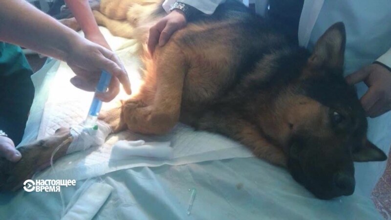  ��������� ����� ���� 2016 