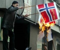 Protester burning Danish, Norwegian flags in Sarajevo on 8 February (epa)
