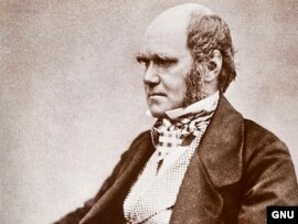 Məşhur ingilis alimi Çarlz Darvin 1809-cu il fevralın 12-də anadan olub