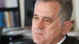 Tomislav Nikolić, foto Vesna Anđić