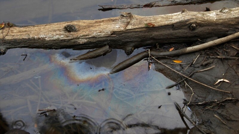 Greenpeace: в реку Ухта в республике Коми попало около 100 тонн нефти
