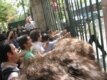 صد ها نفر از دانشجویان مخالف رییس جمهوری ایران در حالی که شعارهایی در مخالفت با آقای احمدی نژاد سر می دادند با حامیان وی درگیر شدند.