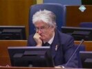 Suđenje Karadžiću prekinuto na mjesec dana