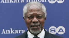 International mediator Kofi Annan has warned that the bloodshed in Syria could spread to neighboring countries.