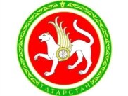 Татарстан туграсы 1992 елның 7 февралендә кабул ителде