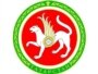 Татарстан туграсы 1992 елның 7 февралендә кабул ителде