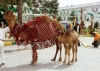 Turkmenistan celebrates Carpet Day in May 2004 (TASS)