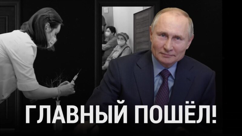 �����: ������� �����