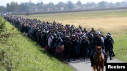 A mounted policeman leads a group of migrants near Dobova, Slovenia, earlier this week.