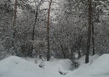 Some protesters were taken outside of Almaty and left in the snow -- without their shoes (file photo)
