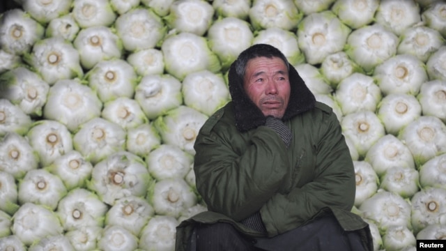 A vendor awaits customers in front of cabbages at a wholesale market on the outskirts of Jiaxing, Zhejiang province, in China.