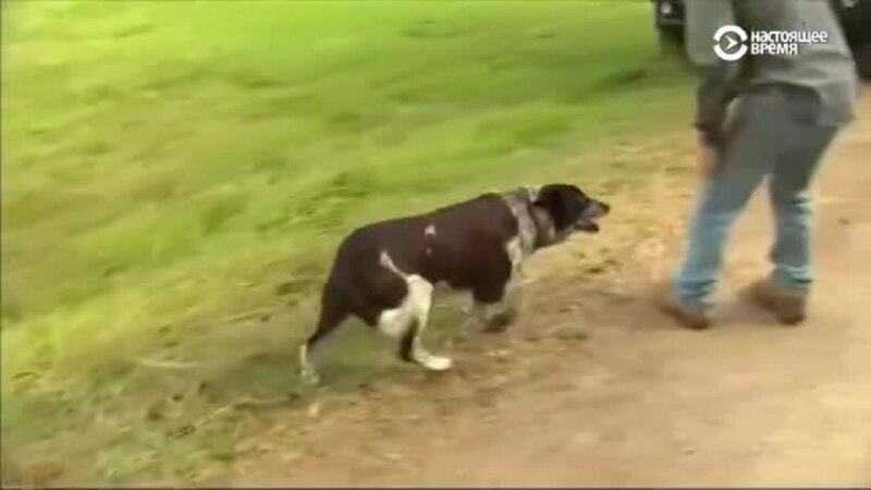  ������ ������ ��������� �������� ������������� ������� 