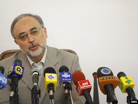 علی‌اکبر صالحی، رئیس سازمان انرژی اتمی ایران