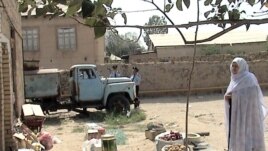 Azerbaijan -- RFE/RL Reporters Attacked in Nakhichevan on 27Aug2008