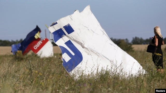 Обломки малайзийского "Боинга" рассыпались в окрестностях Донецка на большой площади