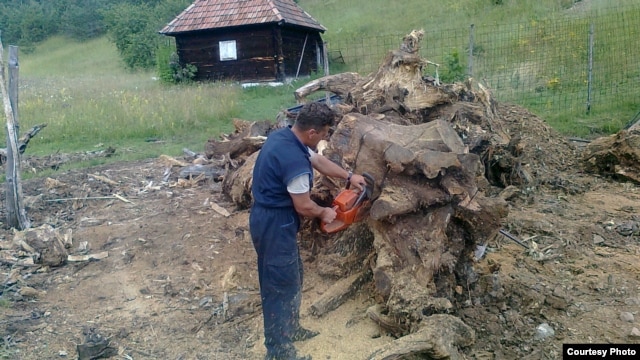 Radovan Rašković