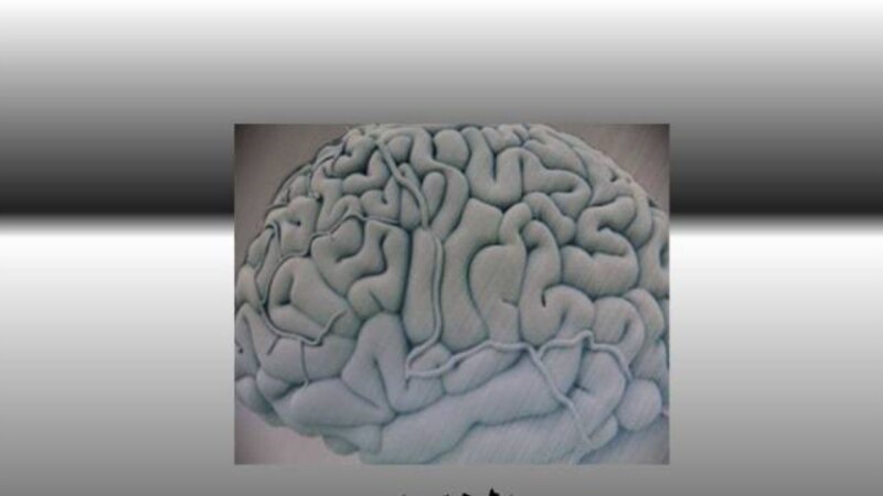 ����: radioazadlyg.org