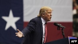 U.S. tycoon-cum-politician Donald Trump (file photo)